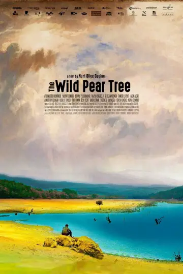 Poster to the movie "The Wild Pear Tree" #1093745