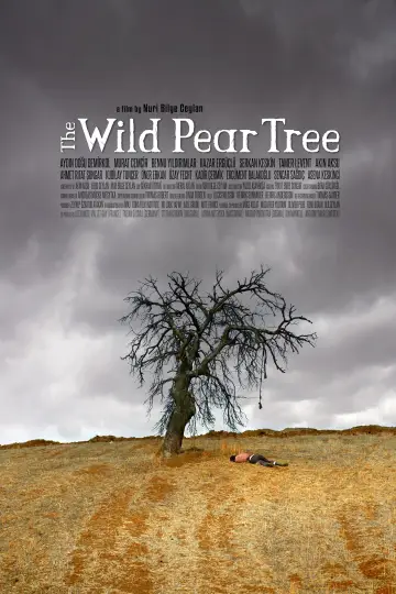 Poster to the movie "The Wild Pear Tree" #1093746