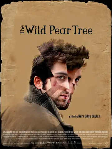 Poster to the movie "The Wild Pear Tree" #1093748