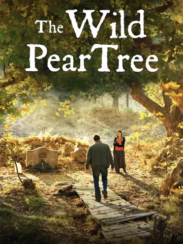 Poster to the movie "The Wild Pear Tree" #1093752