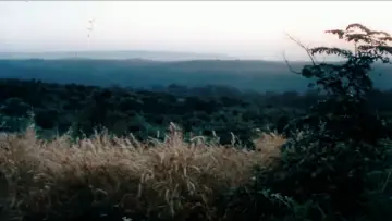 Backdrop to the movie "Ondanondu Kaladalli" #1616077