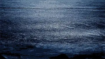 Backdrop to the movie "We Put the World to Sleep" #1184200