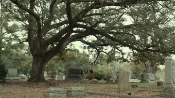 Backdrop to the movie "Halloween" #640232