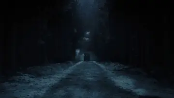 Backdrop to the movie "Nosferatu" #553013