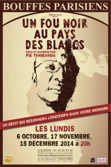 Poster to the movie "Un fou noir au pays des blancs" #945013