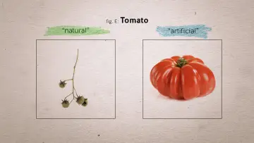 Backdrop to the movie "Food Evolution" #1134609
