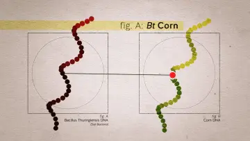 Backdrop to the movie "Food Evolution" #1134611