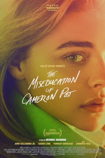 Poster to the movie "The Miseducation of Cameron Post" #993287