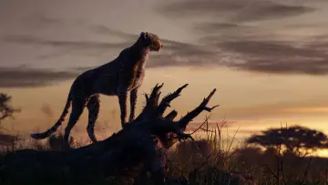 Backdrop to the movie "The Lion King" #581526