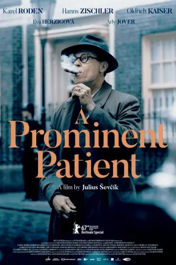 Poster to the movie "A Prominent Patient" #1583486