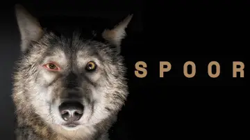 Backdrop to the movie "Spoor" #744800