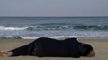 Backdrop to the movie "On the Beach at Night Alone" #1038809