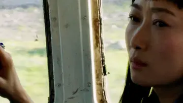 Backdrop to the movie "Ash Is Purest White" #1011238