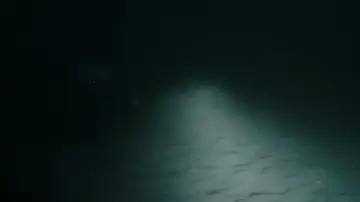 Backdrop to the movie "Underwater" #660010