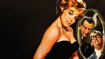 I piaceri dello scapolo poster