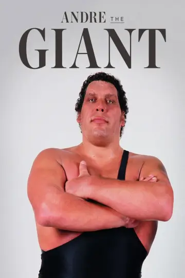 Poster to the movie "Andre the Giant" #1057662