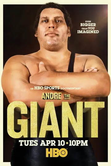 Poster to the movie "Andre the Giant" #1057664