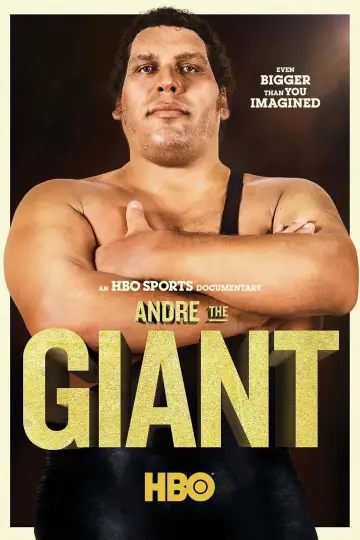 Poster to the movie "Andre the Giant" #1057665