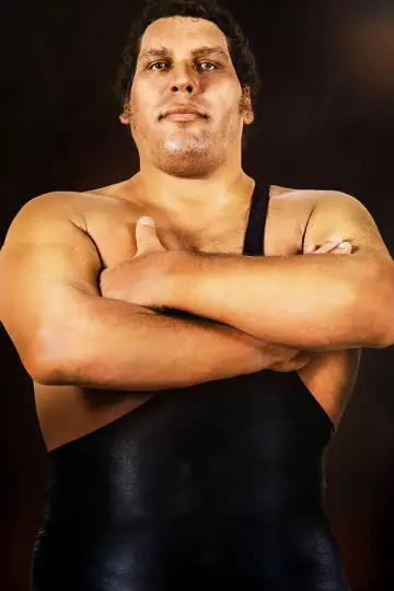 Poster to the movie "Andre the Giant" #1057667
