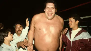 Backdrop to the movie "Andre the Giant" #433607