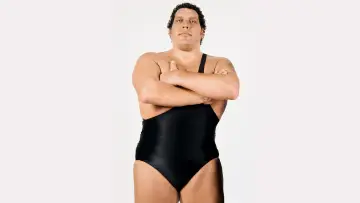 Backdrop to the movie "Andre the Giant" #433612