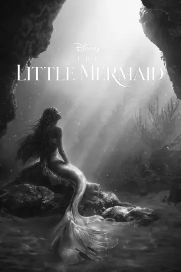 Poster to the movie "The Little Mermaid" #1178839