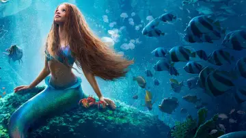 Backdrop to the movie "The Little Mermaid" #165061