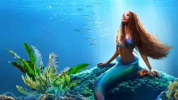 Backdrop to the movie "The Little Mermaid" #165064