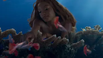Backdrop to the movie "The Little Mermaid" #747597