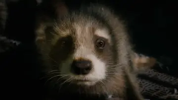 Backdrop to the movie "Guardians of the Galaxy Vol. 3" #162189