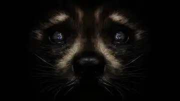 Backdrop to the movie "Guardians of the Galaxy Vol. 3" #560460