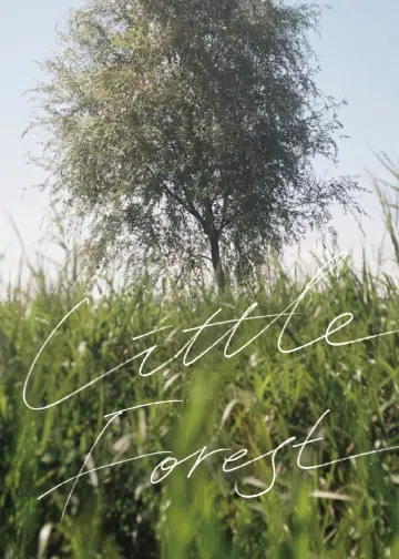 Poster to the movie "Little Forest" #905881