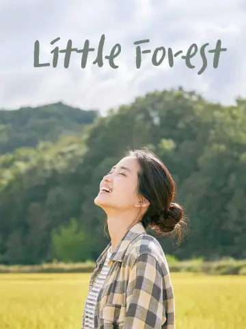 Poster to the movie "Little Forest" #905883