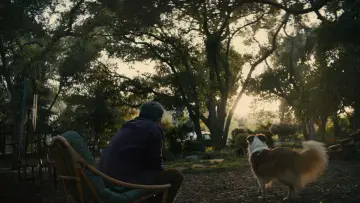 Backdrop to the movie "Beautiful Boy" #693590