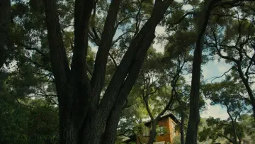 Backdrop to the movie "Beautiful Boy" #693597