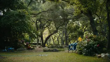 Backdrop to the movie "Beautiful Boy" #693608