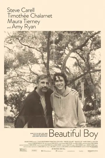 Poster to the movie "Beautiful Boy" #970780