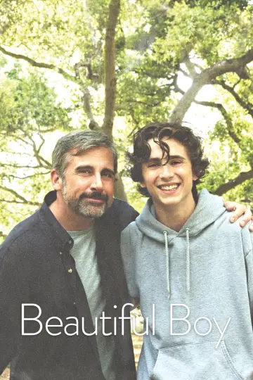 Poster to the movie "Beautiful Boy" #98531