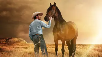 Backdrop to the movie "The Rider" #227958