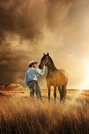 Poster to the movie "The Rider" #989291