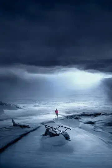 Poster to the movie "Arctic" #727238