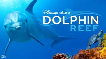 Backdrop to the movie "Dolphin Reef" #1079495