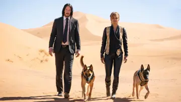 Backdrop to the movie "John Wick: Chapter 3 - Parabellum" #169728