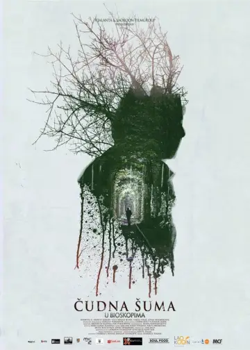 Strange Forest poster