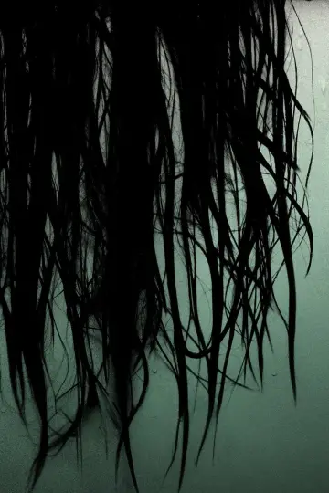 Poster to the movie "The Grudge" #870855