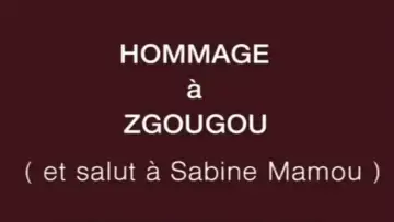 Backdrop to the movie "Tribute to Zgougou the Cat" #1147985