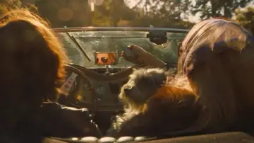 Backdrop to the movie "Once Upon a Time… in Hollywood" #912011