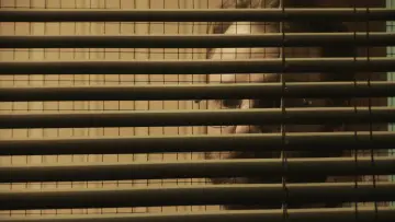 Backdrop to the movie "Unsane" #891311