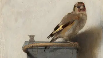 Backdrop to the movie "The Goldfinch" #234153