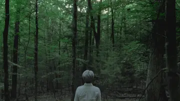 Backdrop to the movie "Ryuichi Sakamoto: CODA" #818473
